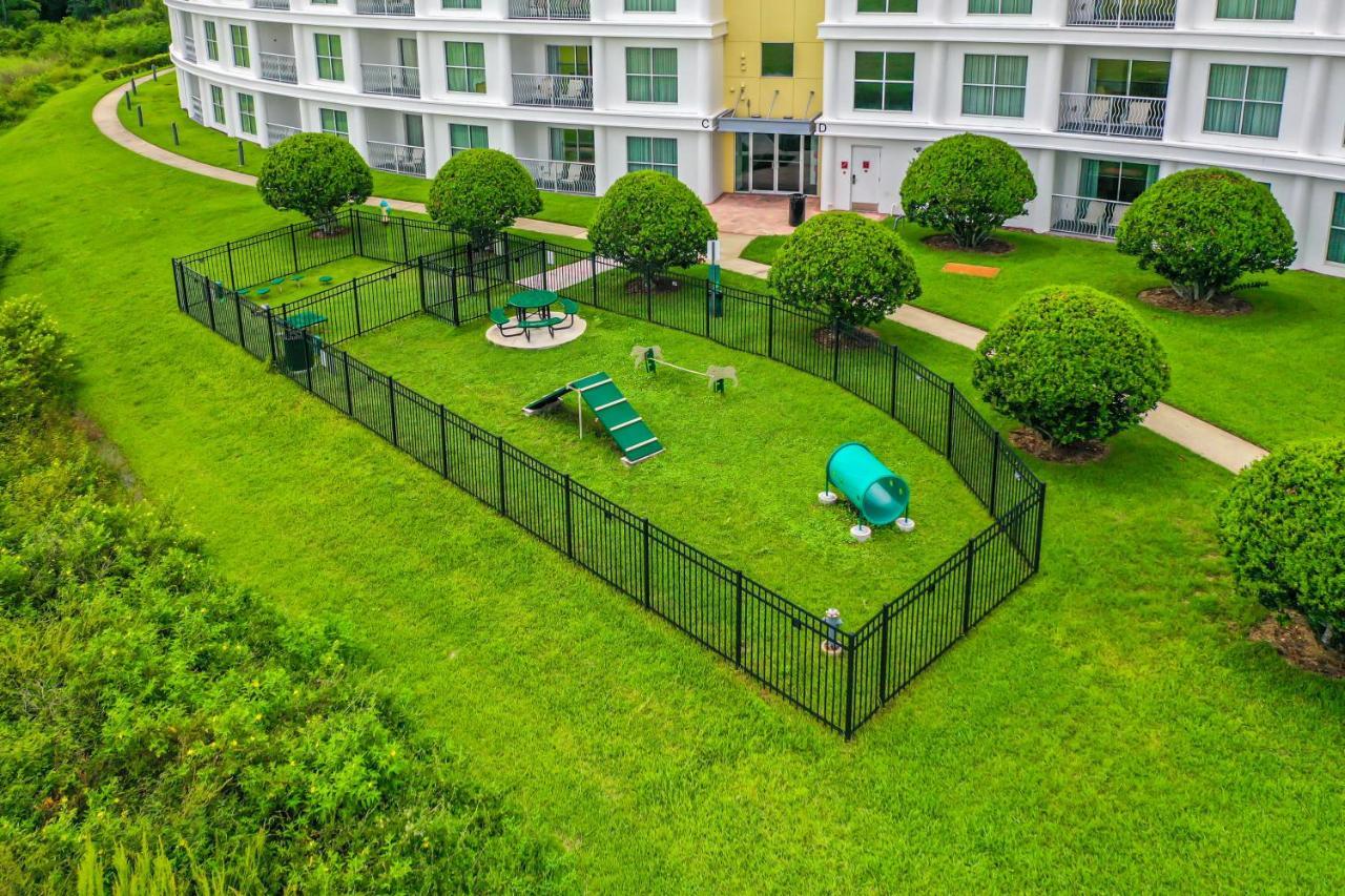 Pet Friendly In Orlando Area Near Disney Celebration Εξωτερικό φωτογραφία
