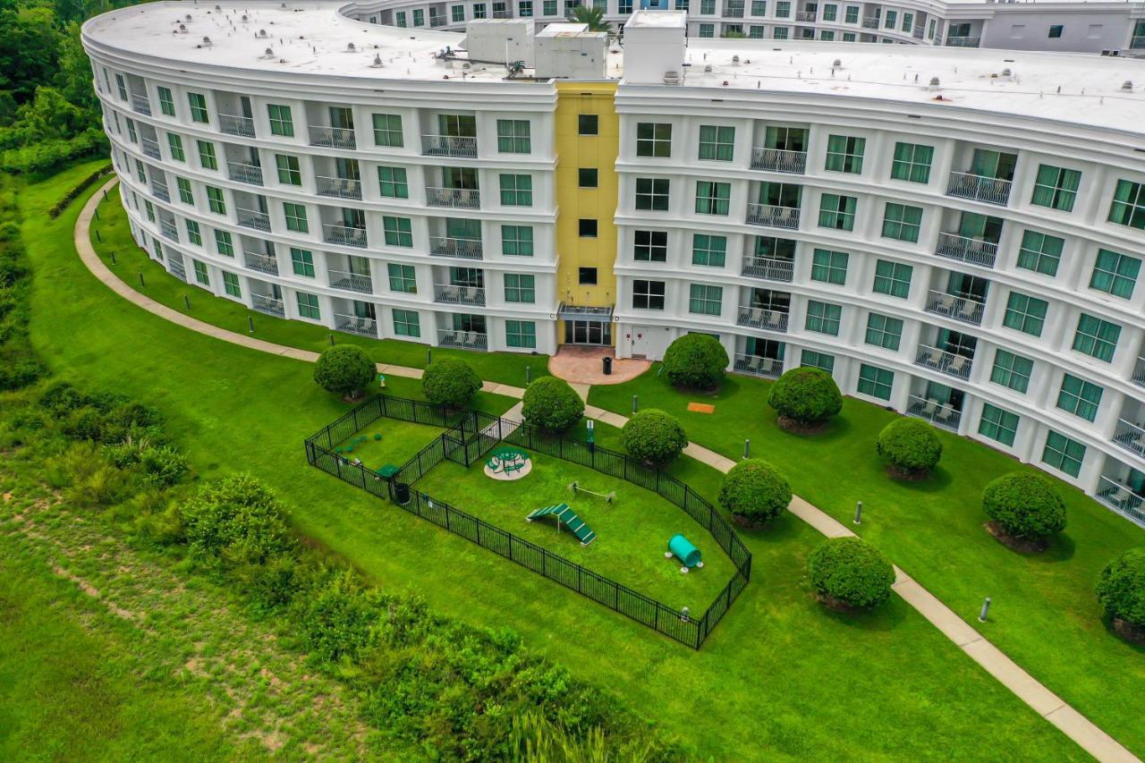 Pet Friendly In Orlando Area Near Disney Celebration Εξωτερικό φωτογραφία